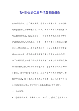农村外出务工青年情况调查报告-