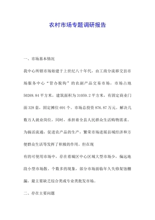 农村市场专题调研报告