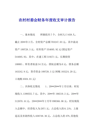 农村村委会财务年度收支审计报告