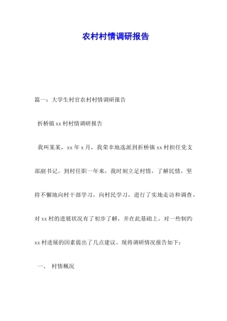 农村村情调研报告