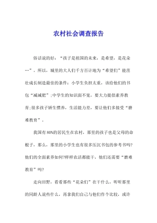 农村社会调查报告