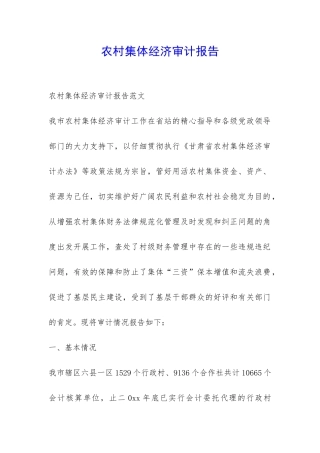 农村集体经济审计报告-