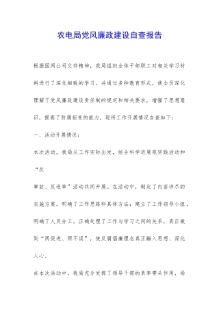 农电局党风廉政建设自查报告-