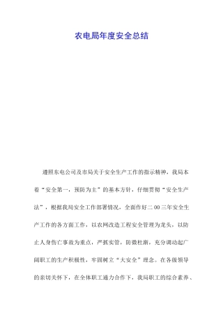 农电局年度安全总结-