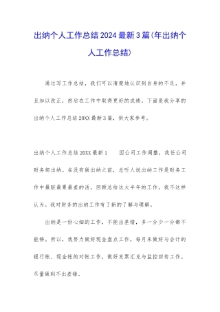 出纳个人工作总结2024最新3篇