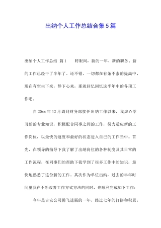 出纳个人工作总结合集5篇