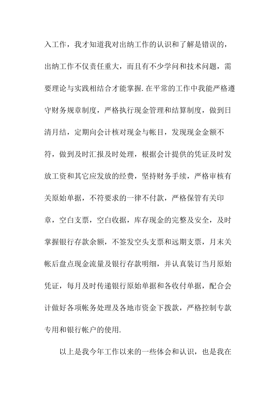 出纳个人年度总结_第2页