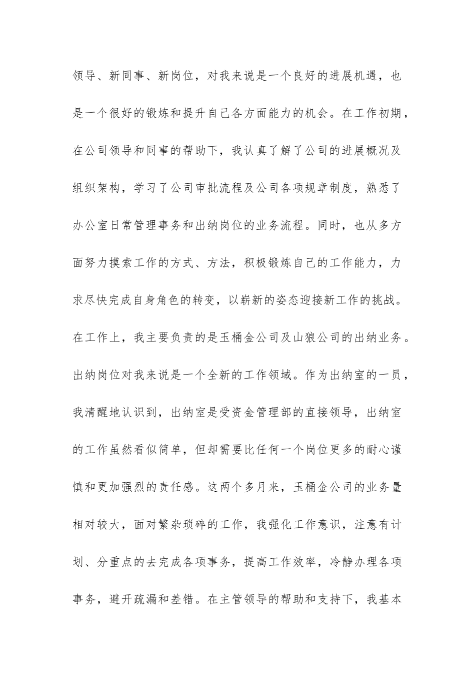 出纳个人试用期工作总结3篇-_第2页