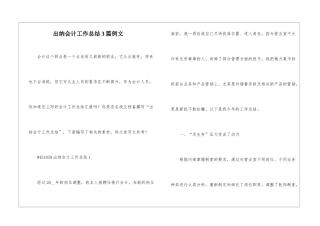 出纳会计工作总结3篇例文