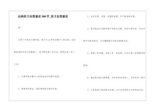 出纳实习自我鉴定300字-实习自我鉴定