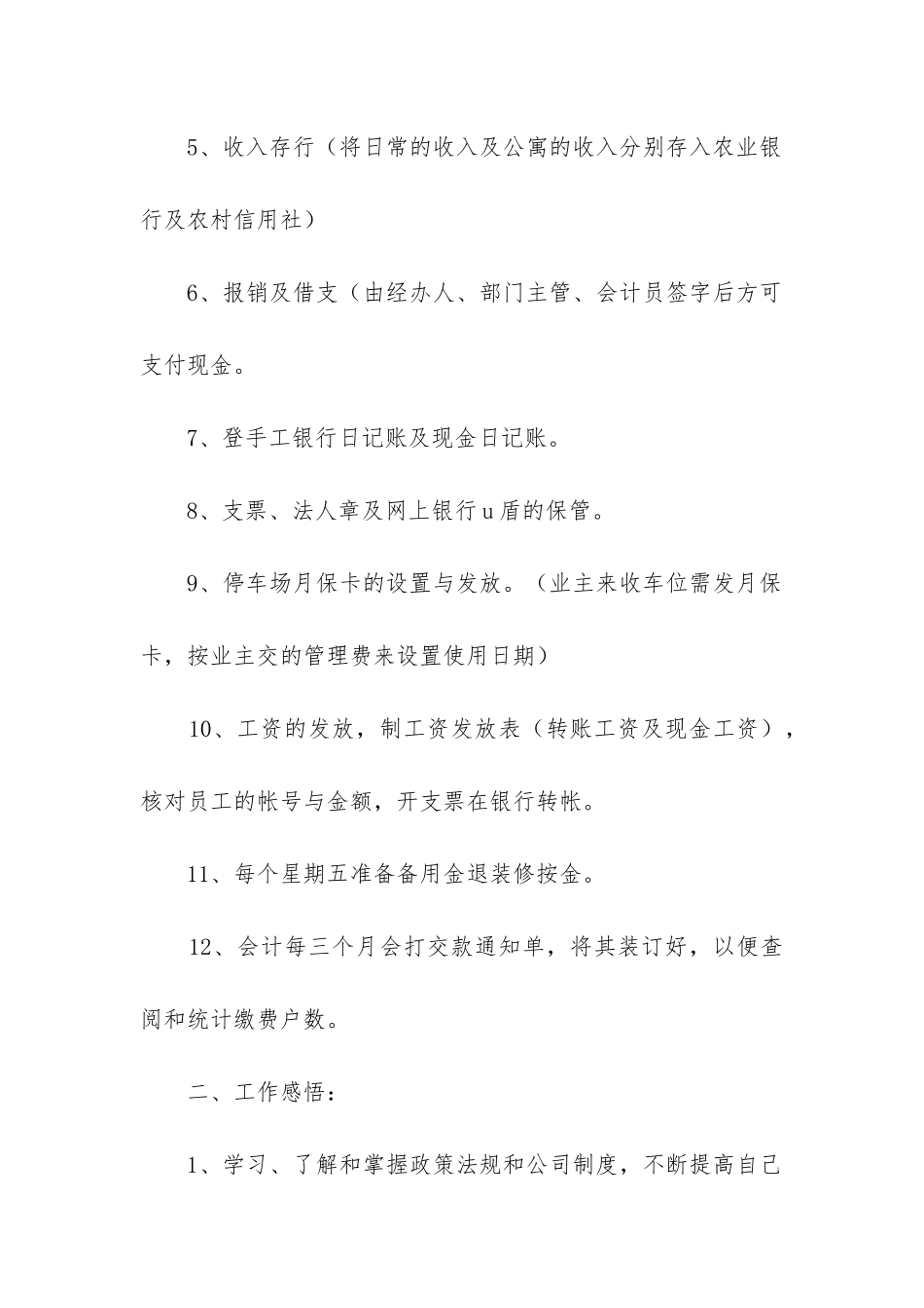 出纳年度工作总结个人_第2页