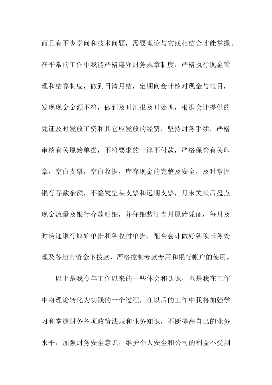 出纳年终个人总结报告_第2页