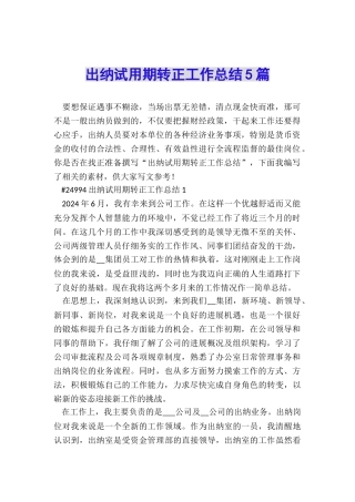 出纳试用期转正工作总结5篇