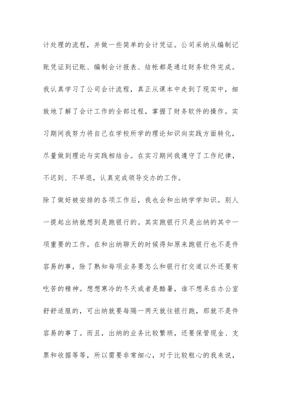 出纳顶岗实习报告-_第3页