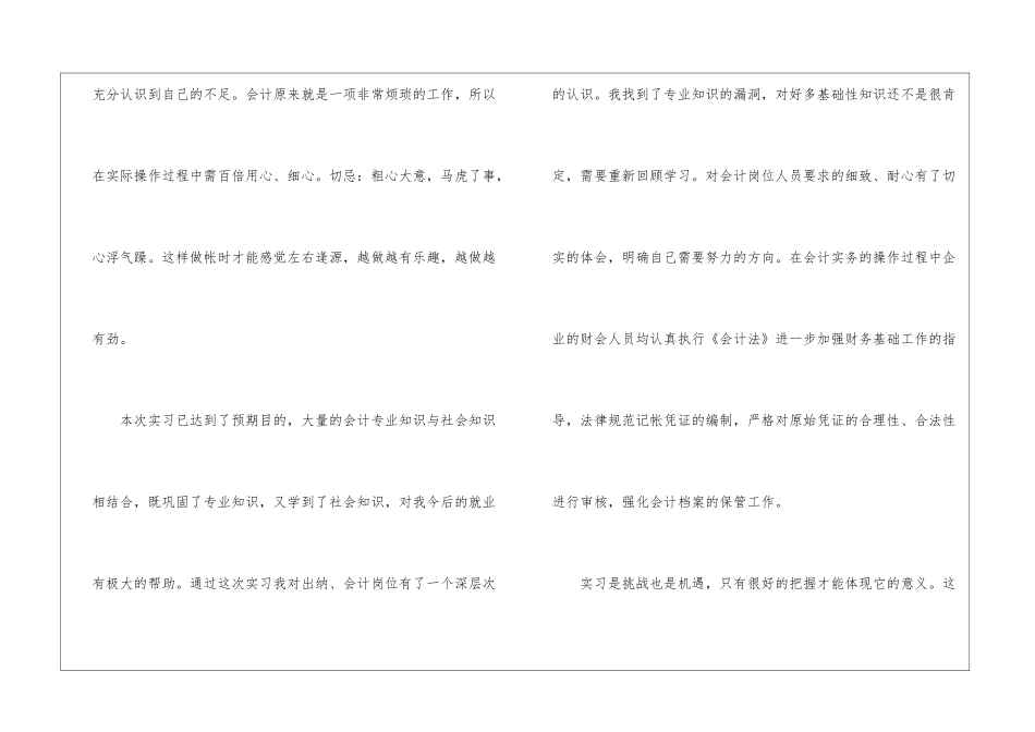 出纳顶岗实习总结_第3页