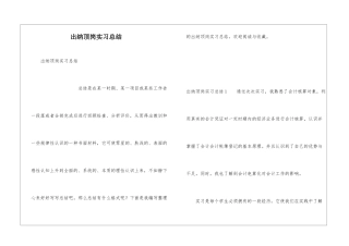 出纳顶岗实习总结