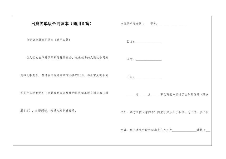 出资简单版合同范本_第1页