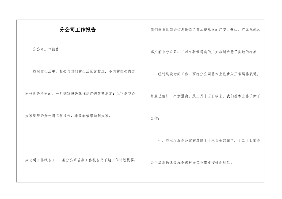分公司工作报告_第1页
