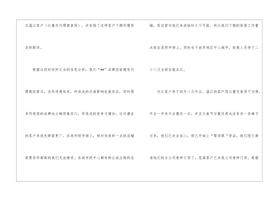 分公司工作报告_第3页