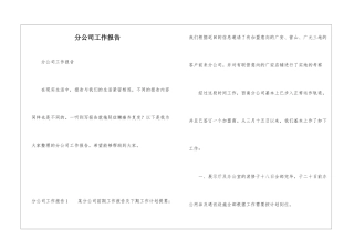 分公司工作报告