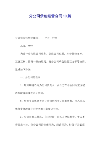 分公司承包经营合同10篇
