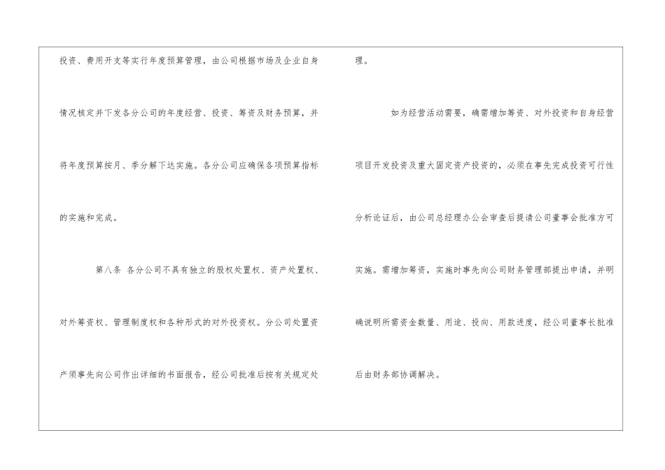 分公司管理制度--_第3页