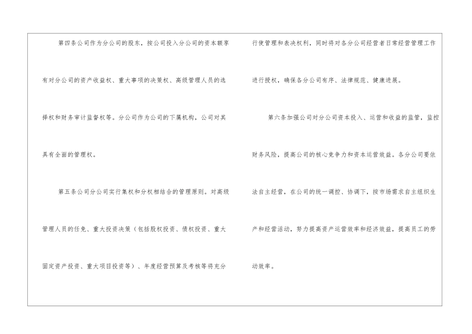 分公司管理制度范本_第2页
