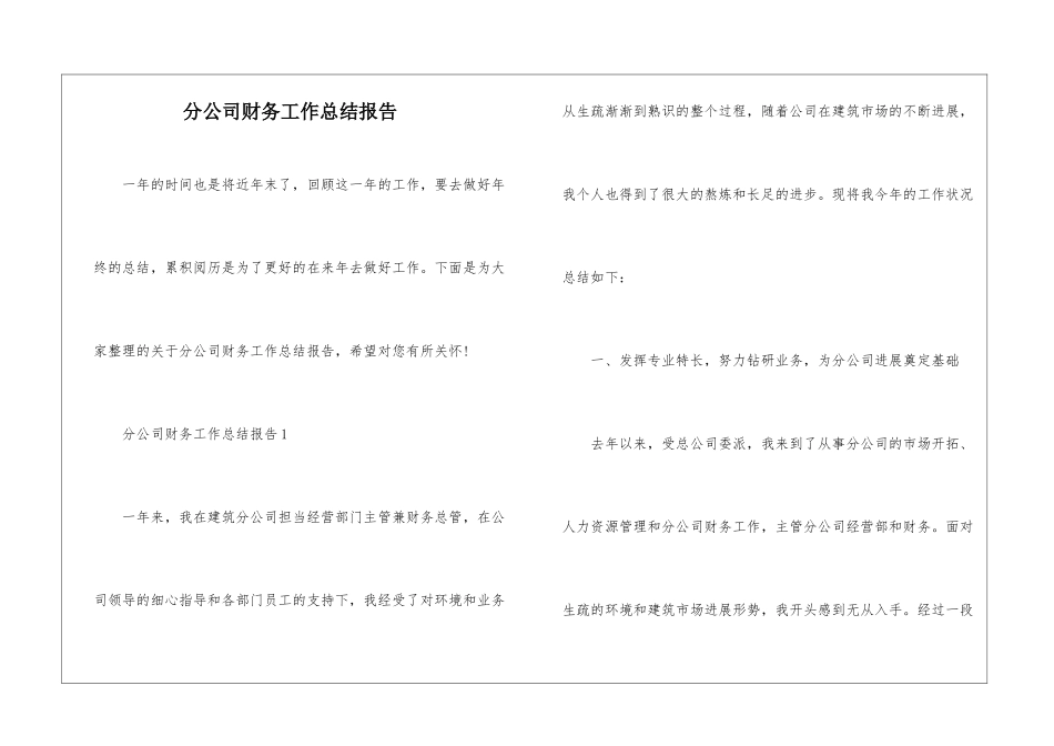 分公司财务工作总结报告_第1页