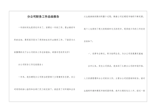 分公司财务工作总结报告