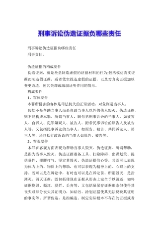 刑事诉讼伪造证据负哪些责任