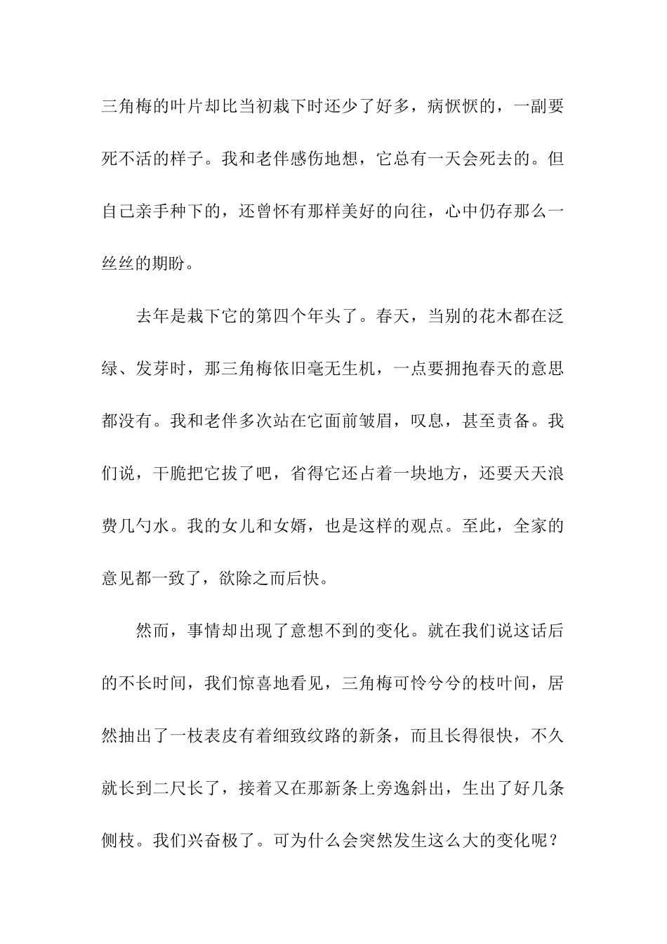 刘成章《三角梅》阅读练习和答案_第2页