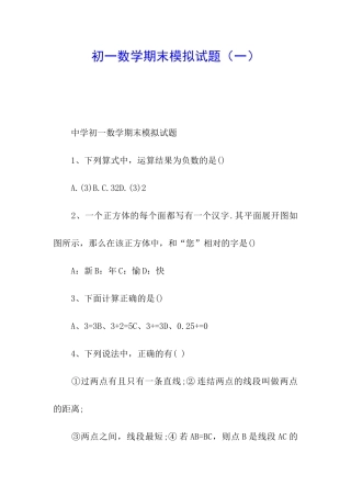 初一数学期末模拟试题