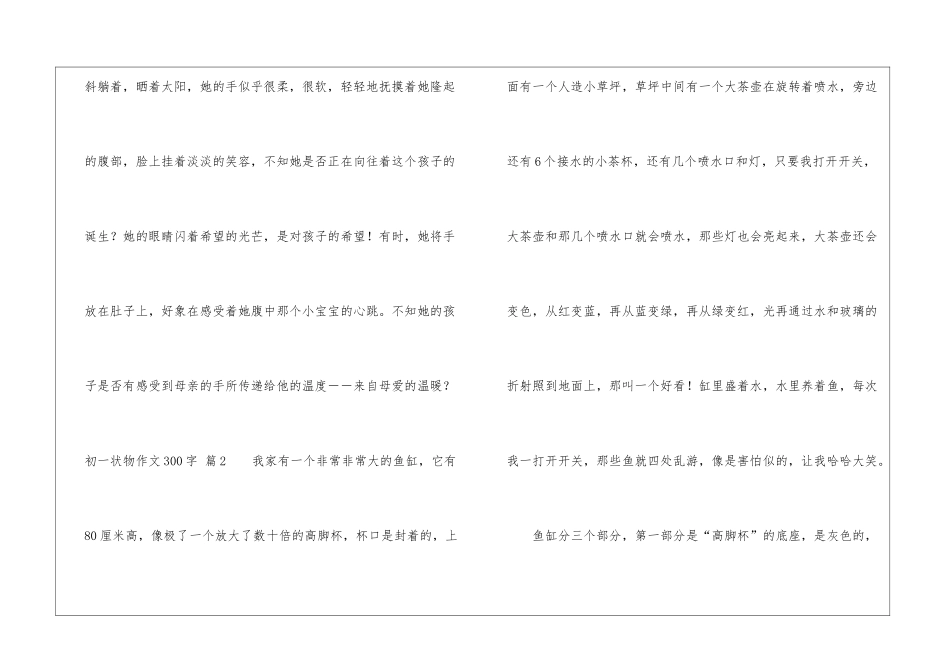 初一状物作文300字五篇_第2页