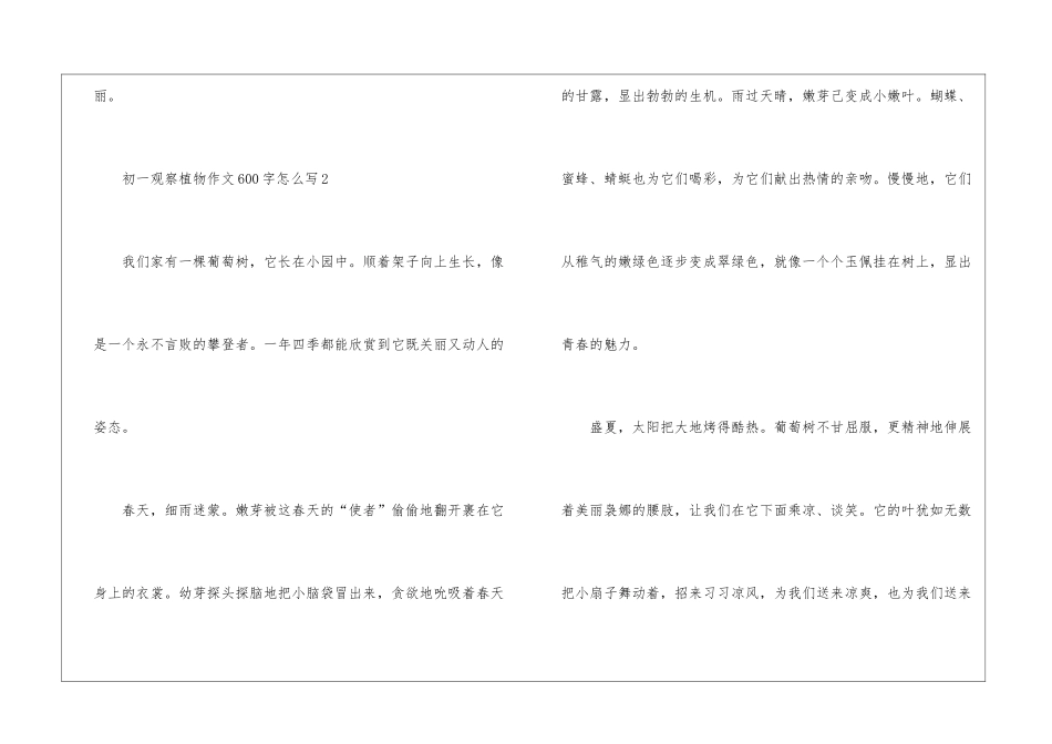 初一观察植物作文600字怎么写5篇_第3页