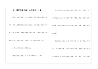 初一遇见作文记叙文六百字例文5篇