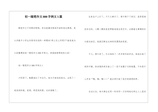 初一随笔作文800字例文5篇