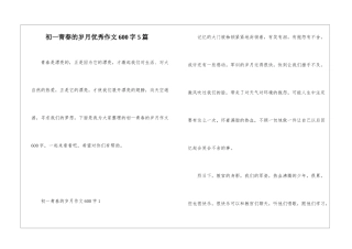 初一青春的岁月优秀作文600字5篇