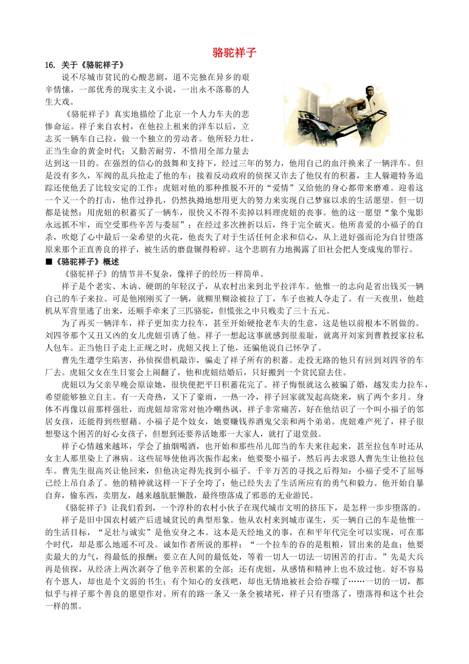 高中语文《骆驼祥子》备课参考素材 新人教版选修《中国小说欣赏》-新人教版高二《中国小说欣赏》语文素材_第1页