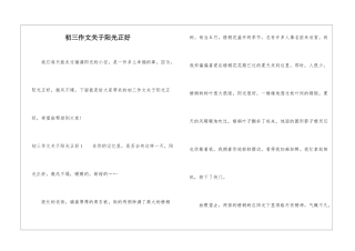 初三作文关于阳光正好