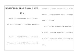 初三借物抒情作文：仰望大树-作文2050字-初三抒情作文