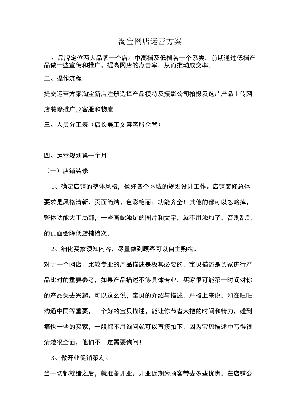 淘宝店运营方案_第1页