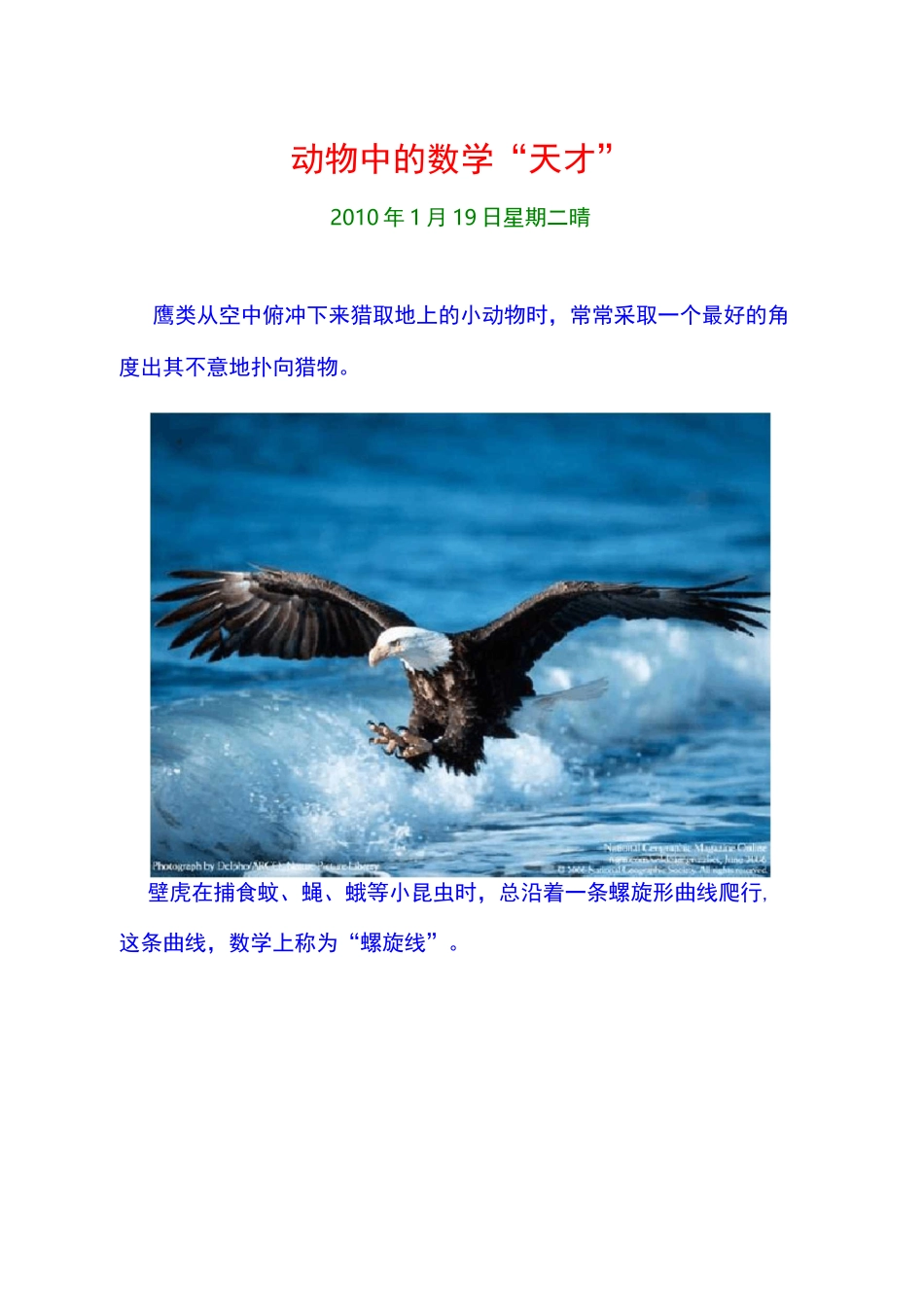 动物中的数学_第1页