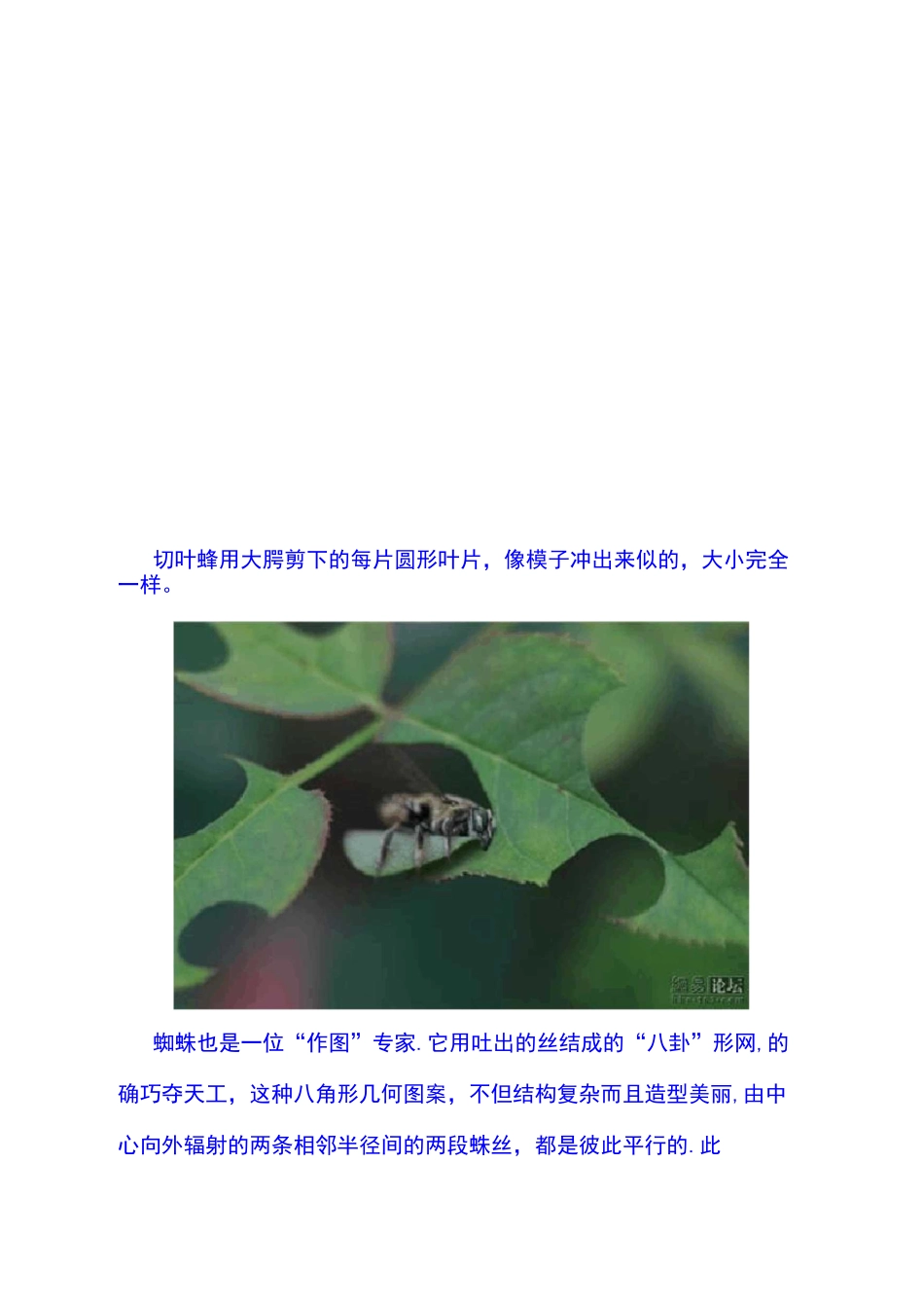 动物中的数学_第2页