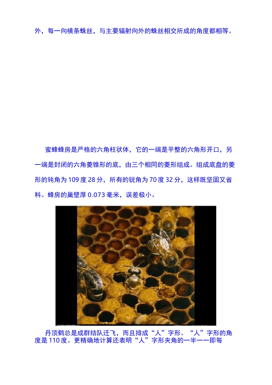 动物中的数学_第3页