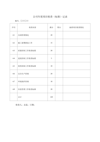 公司年项目检查标准记录