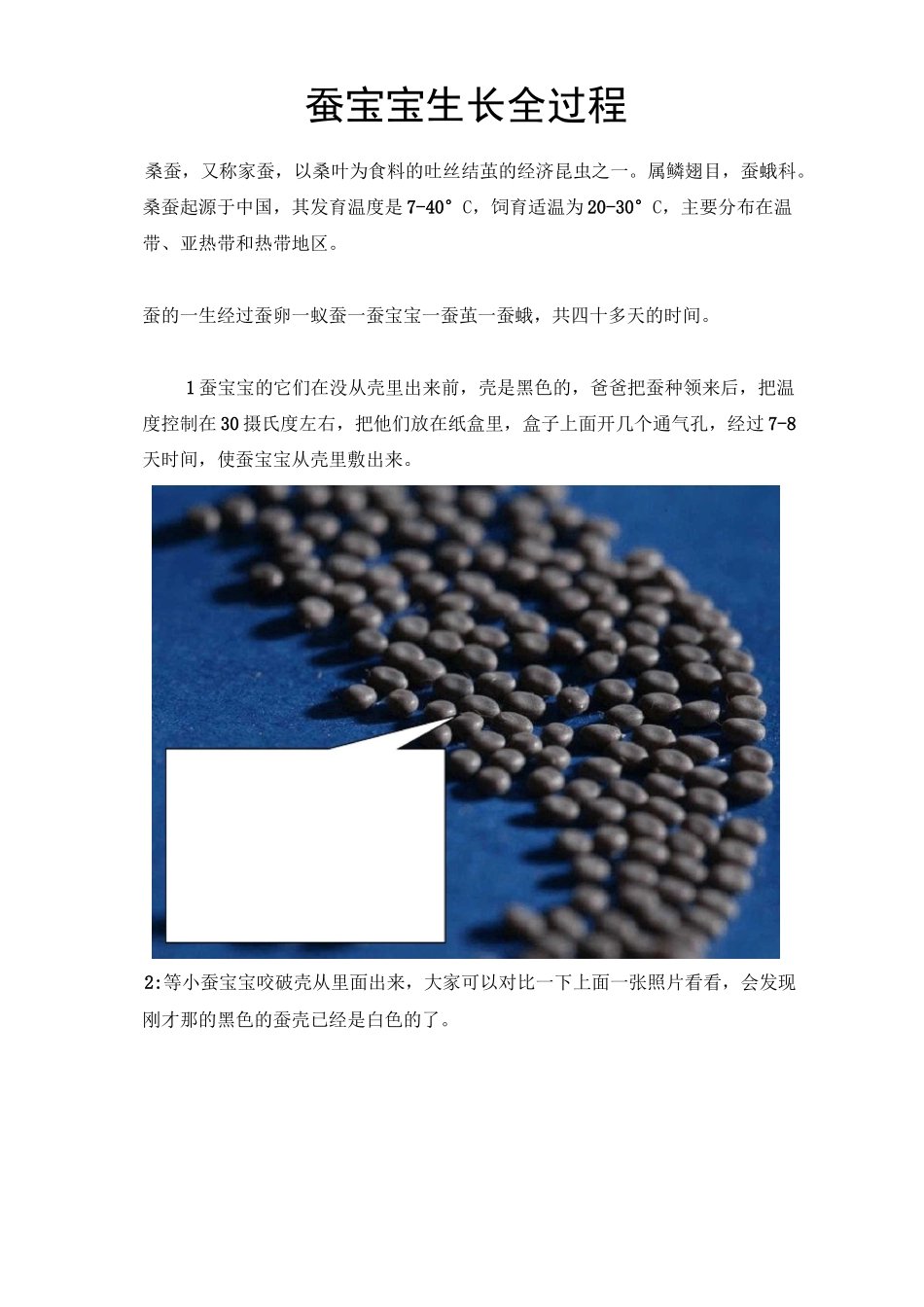 蚕宝宝生长全过程_第1页