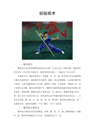 初级棍术详解