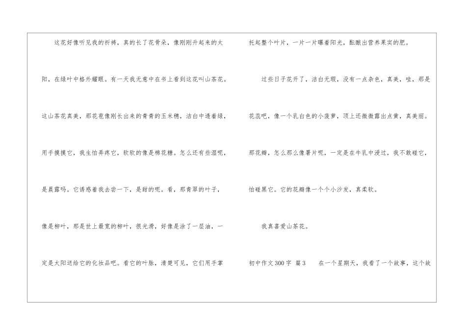 初中作文300字汇编4篇_第3页