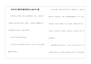 初中关于雪的写景优秀作文600字5篇