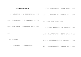 初中呼啸山庄读后感